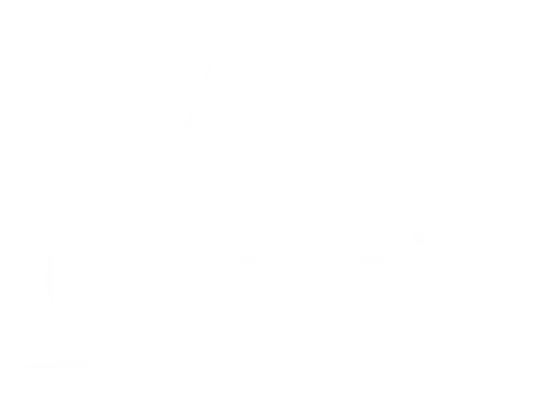 logo viri veronio